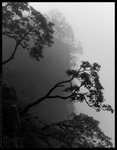 Travel Photography photo 21